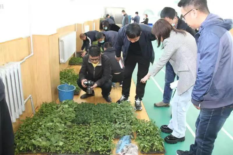 第五届“哈尔滨市远程同步种植活动”启动了！