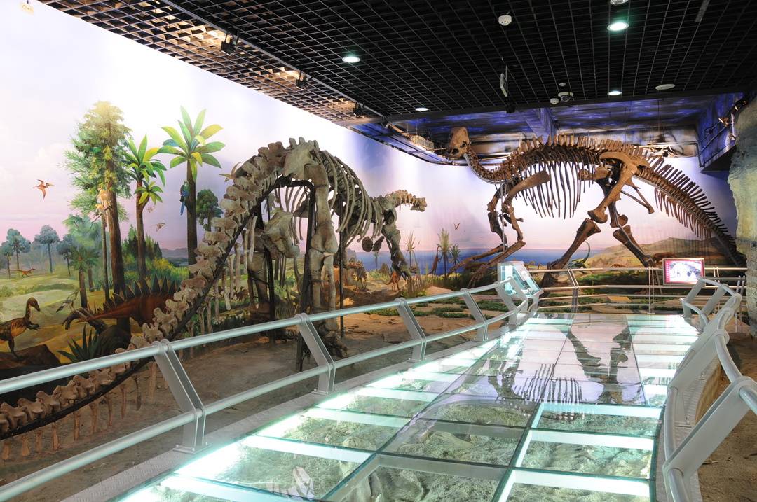 黑龙江省地质博物馆