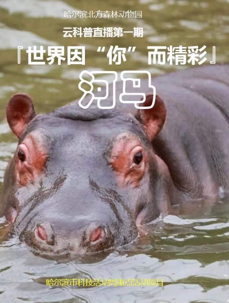科技活动周 线上“云科普” ——《世界因“你”而精彩》生物多样性日主题活动