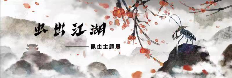 动物也武侠丨黑龙江省林业科学院伊春分院森林博物馆推出 《“虫”出江湖——昆虫主题展》